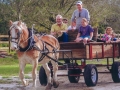 horseDrawnHayrideVero