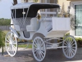 CarriageWithFoldingTop