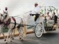 HorseDrawnCarriageEvents
