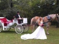 Wedding day